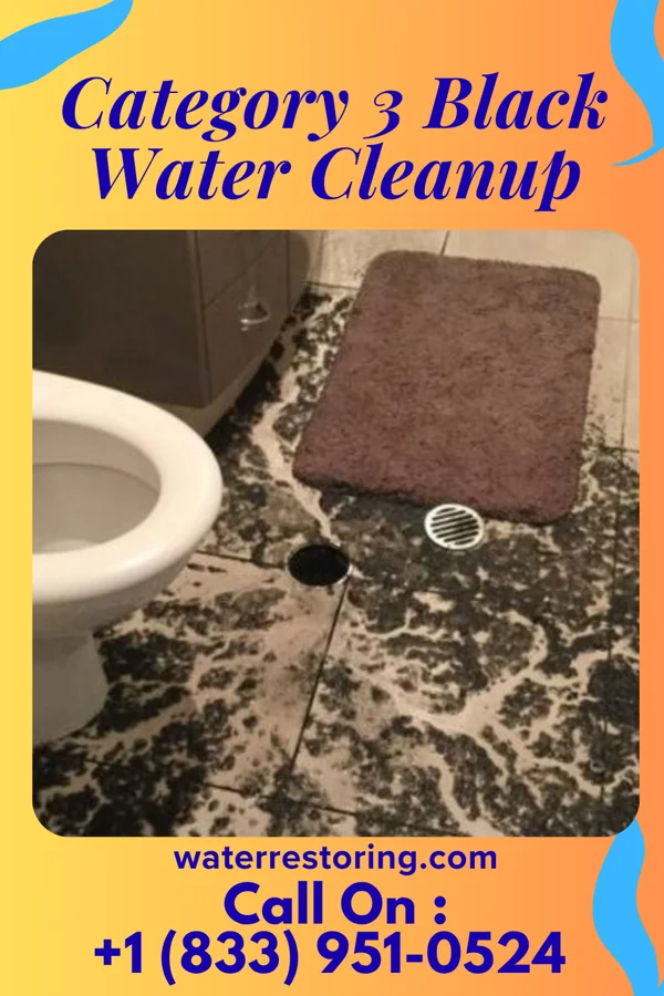 Category 3 Black Water Cleanup in Keota, IA